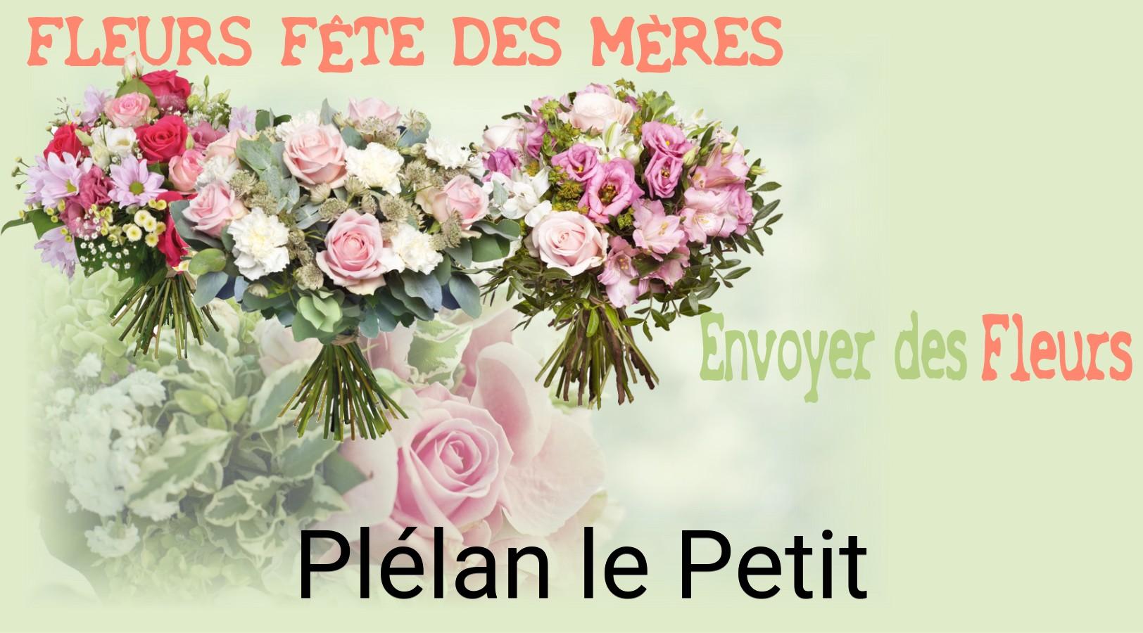 Bouquet de Fête des Mères livré à Plélan-le-Petit